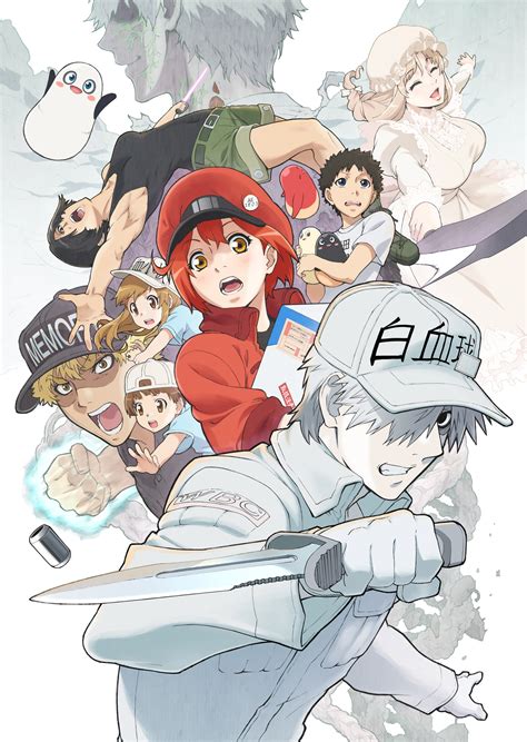 hataraku saibou|TVアニメ「はたらく細胞!!」.